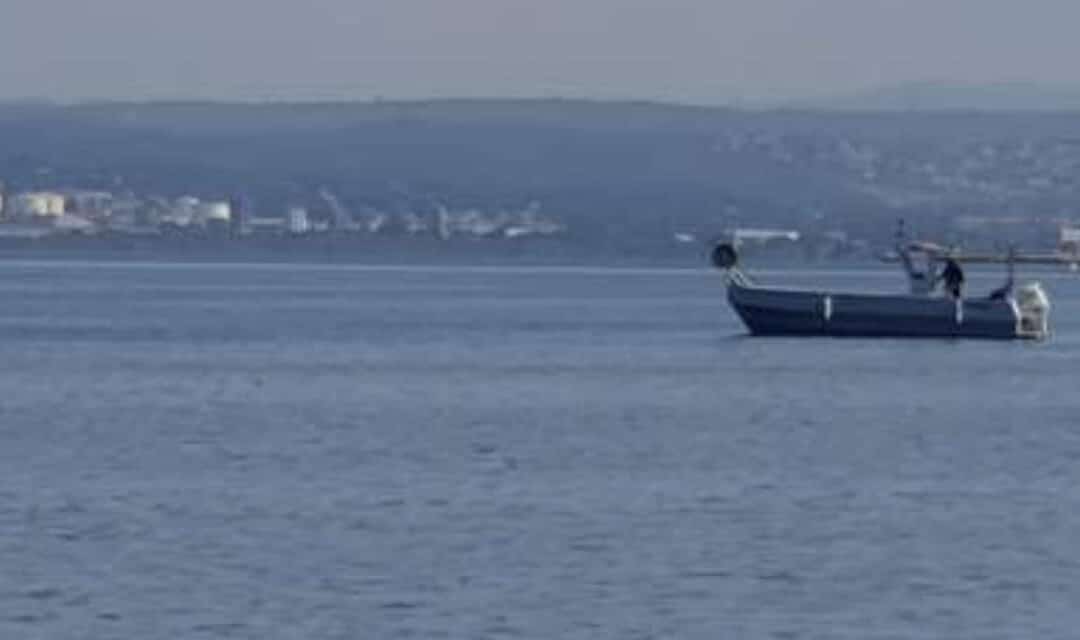 EN JUIN DERNIER, LE CHAT AVAIT RÉALISÉ UNE ENQUÊTE SUR LE PILLAGE DES PALOURDES ET DÉNONCÉ LES « PILLEURS » DU JAÏ