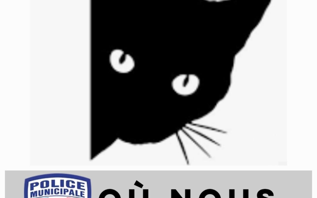 MARIGNANE: UN CHAT NOIR SUR LA SECURITE